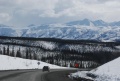 6th Cayenne Artic Route Adventure: East of the Alaska/Yukon border