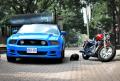 2014 Ford Mustang GT vs Harley Sportster 1200*