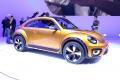 2015 Volkswagen Beetle Dune