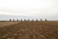 Day 4 - Cadillac Ranch Art Installation, Texas