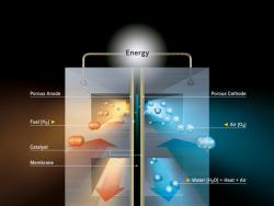 Hydrogen Fuel Cells