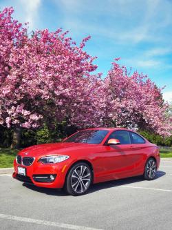 2014 BMW 228i