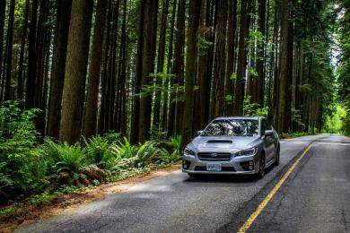 2015 Subaru WRX CVT