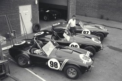 Shelby Roadsters Display, Venice, CA, 1963.
Carroll Shelby with the 3 Cobra roadsters that would win the 1963 USRRC Manufacturer's Championship.
CD#0777-3292-0894-17.